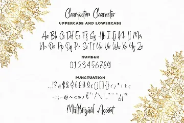 Champeton - Playful Script Font