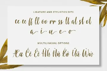 Calligraphy/Cursive Font