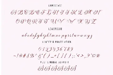 Mansdefia font