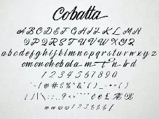 Cobalta Vintage Script Font