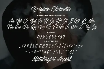 Balgeris - Authentic Brush Font