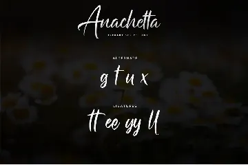 Anachetta - Elegant Script font