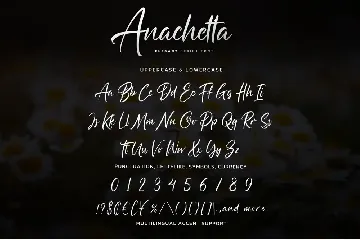 Anachetta - Elegant Script font