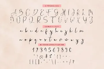 Fanish Signature - Elegant Font