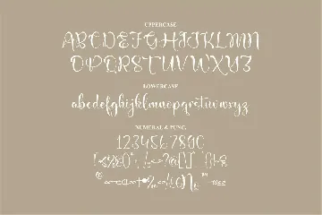 Mainches Cantika Script Font