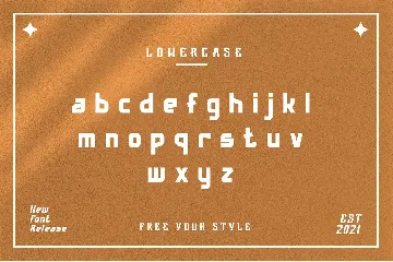 Fedorn Modern Classy Font