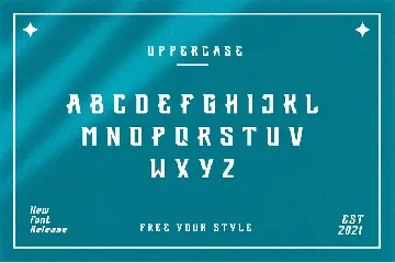 Fedorn Modern Classy Font