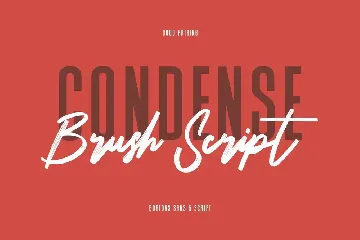 Bortons Font Duo Swash Typeface