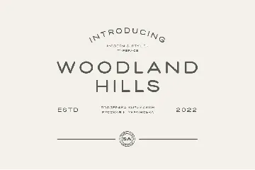 SA Woodland Hills - Modern Display Font