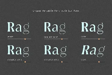 Griggs Variable Typeface font