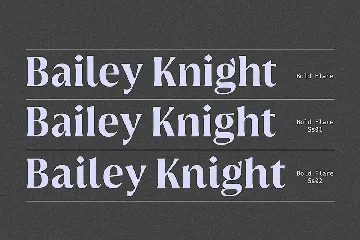 Griggs Variable Typeface font