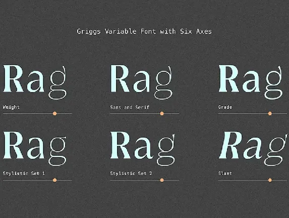 Griggs Variable Typeface font