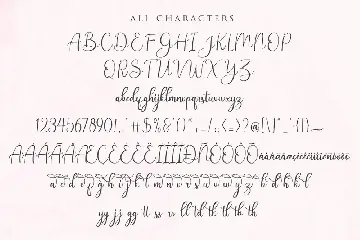 Andina - Modern Script Font