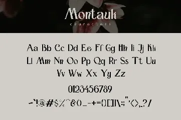 Montauk - Vintage Serif Font