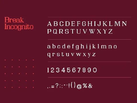 Break Incognito Serif Font