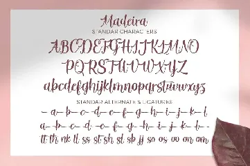 Madeira Script font