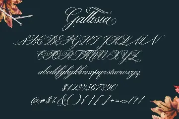 Gallisia Script font