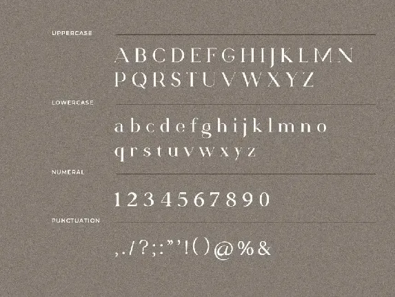 Saxvon Serif Display Font