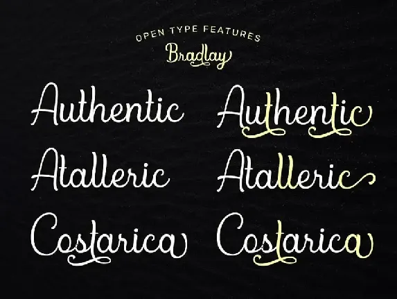 Bradlay Script font