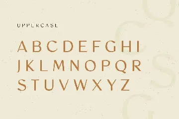 Mosaic - Modern Vintage Font